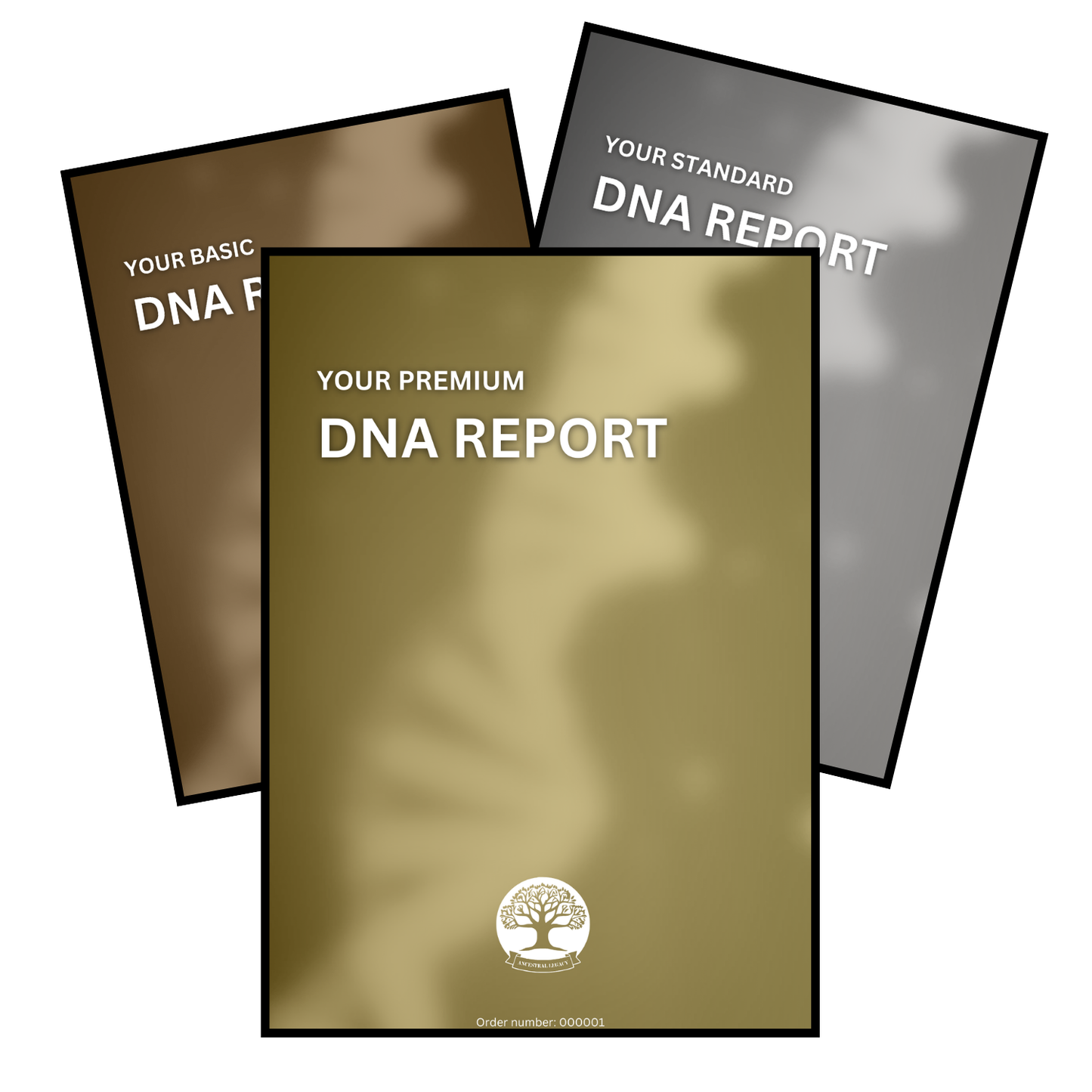 DNA Report